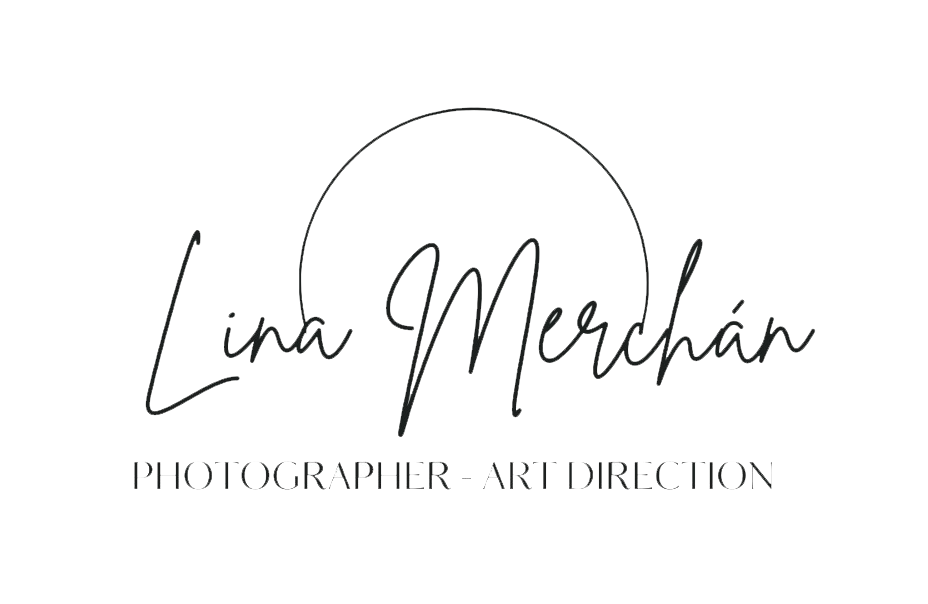 Big Picture Logo